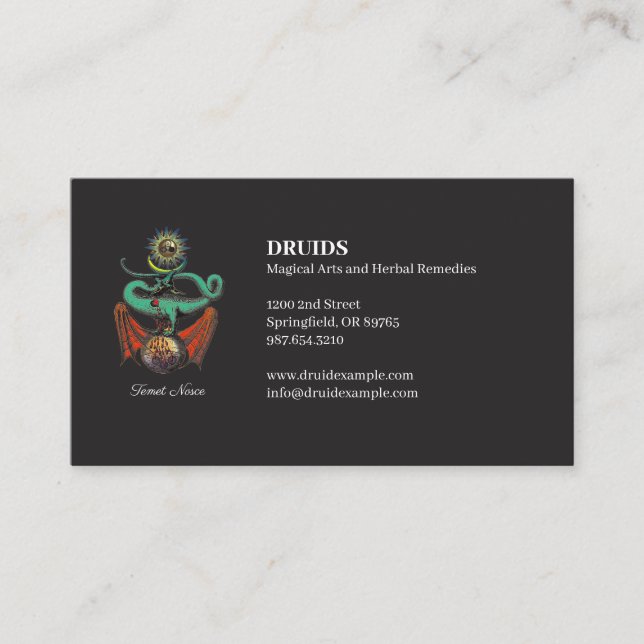 Symbolic Mediaeval Dragon Jet Black Business Card (Front)