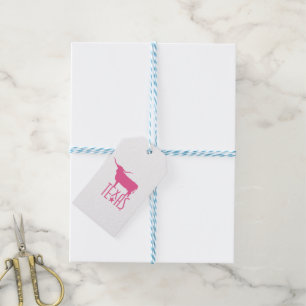 Symbols of Texas, Longhorn, pink Gift Tags