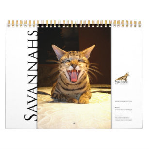 Syminou calendar 2018 Savannah Cat