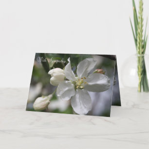 Sympathy Apple Blossom Card