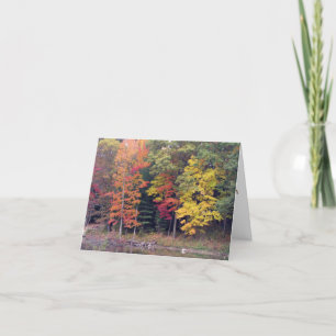 Sympathy - Autumn trees and lake Card