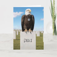 Sympathy Bald Eagle Wearing Military Dog Tags
