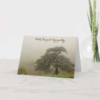 Sympathy Card