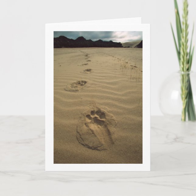 Sympathy Card (Front)