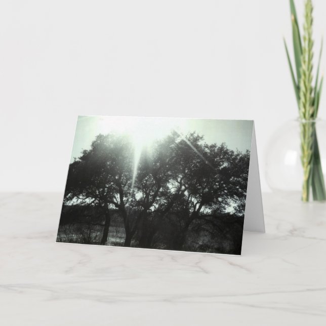 Sympathy Card (Front)