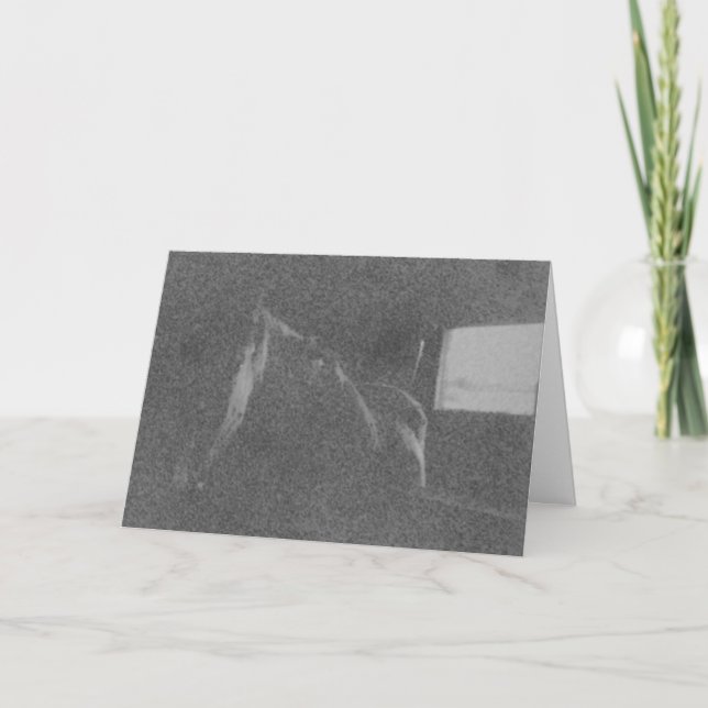 Sympathy Card (Front)