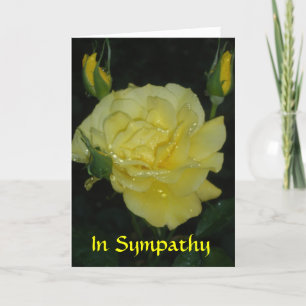 Sympathy Card (for anyone)