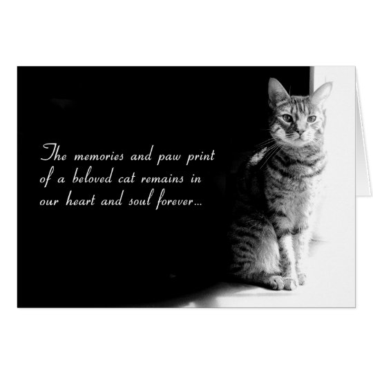 Sympathy card for the loss of a beloved pet cat