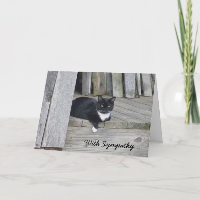 Sympathy Card -- Loss of Cat (Front)