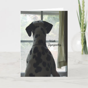 Sympathy Card -- Loss of Dog