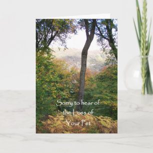 Sympathy Card, Loss of Pet Card