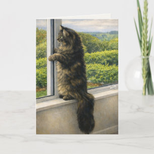 Sympathy Card Quiet Maine Coon Cat at the Window