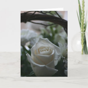 Sympathy Card white rose unique greeting cards