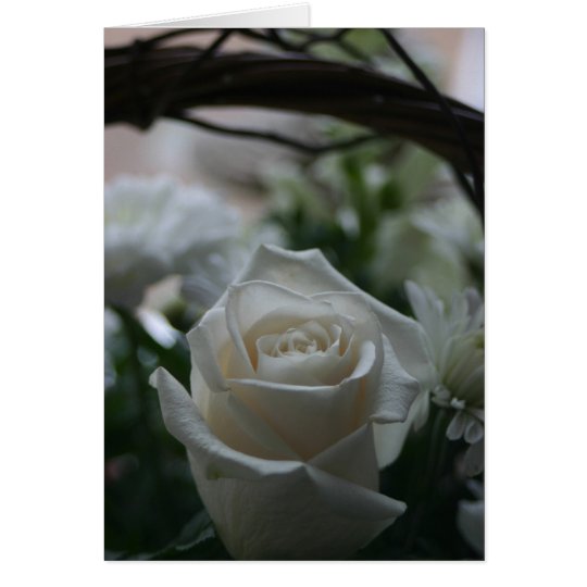 Sympathy Card white rose unique greeting cards