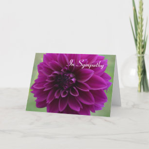 Sympathy card with close up of purple dahlia