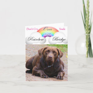 Sympathy Cards for Dog j/ labdor retrivers lovers