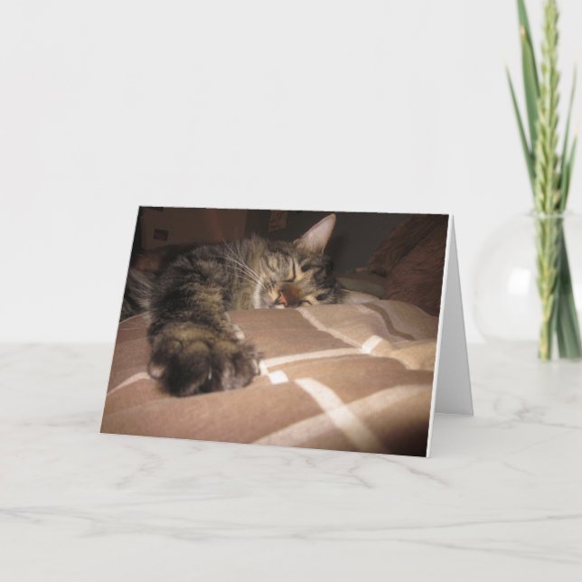 Sympathy - Cat Card (Front)