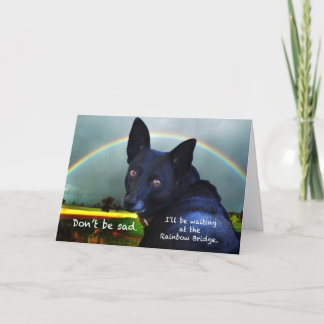 Sympathy for loss of pet card