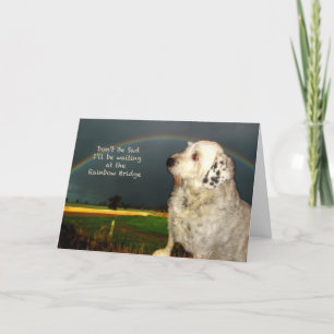 Sympathy for loss of pet dog card