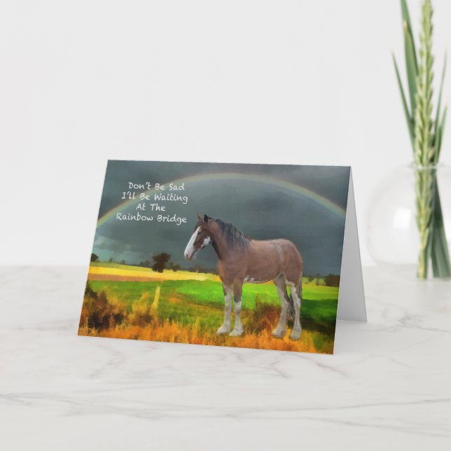 Sympathy for loss of pet horse card (Front)