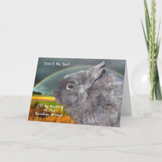 Sympathy for loss of pet rabbit card | Zazzle.co.uk