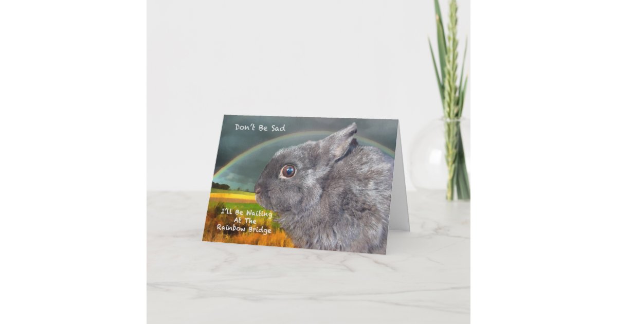 Sympathy for loss of pet rabbit card | Zazzle.co.uk