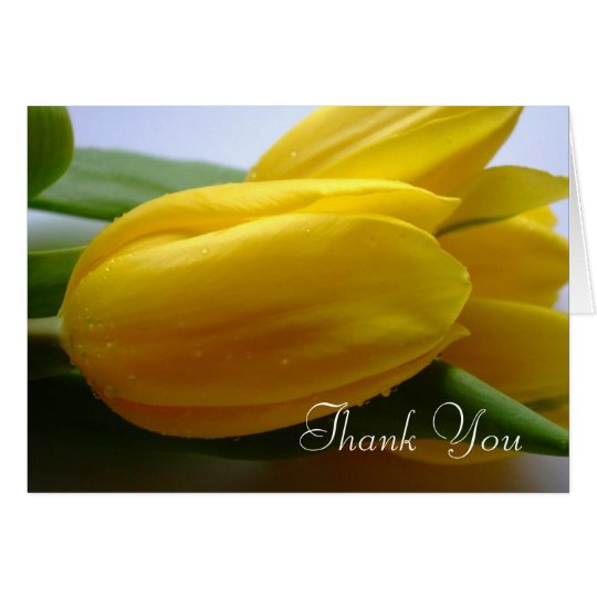 Sympathy / Funeral Thank You Card