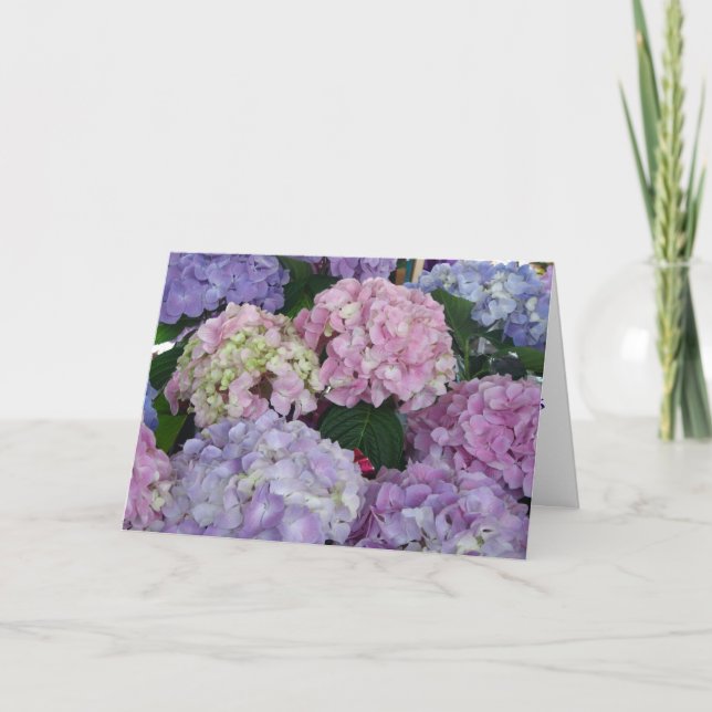 Sympathy Hydrangeas Card (Front)