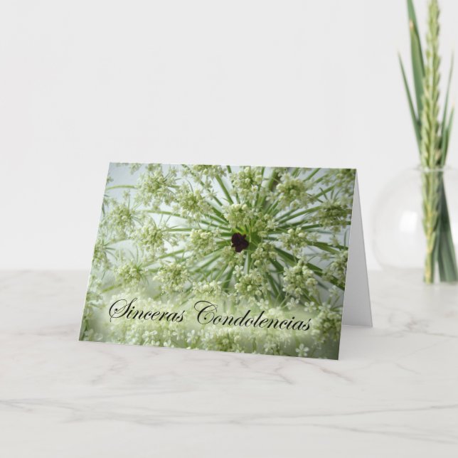 Sympathy in Spanish, Queen Anne's Lace, Flowers Card (Front)