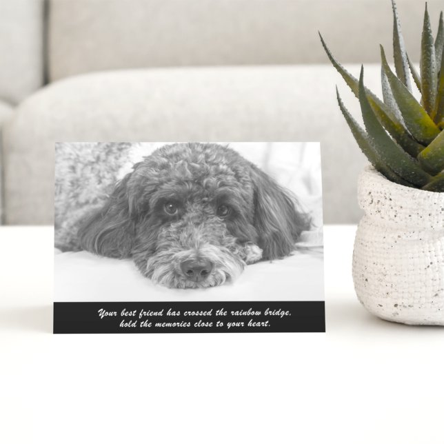 Sympathy Labradoodle Greeting Card (Creator Uploaded)