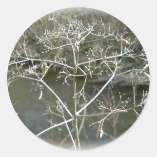 Sympathy Lacy Weed Sticker