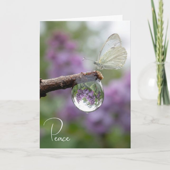 Sympathy Lilacs Reflecting in a Raindrop  Card (Front)