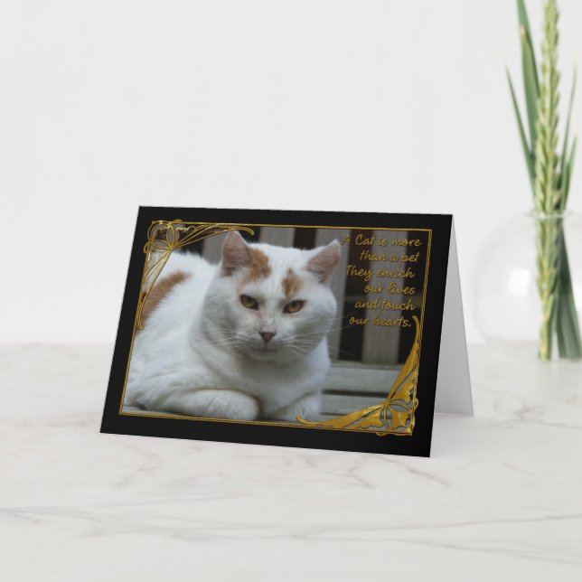 Sympathy loss of cat card (Front)