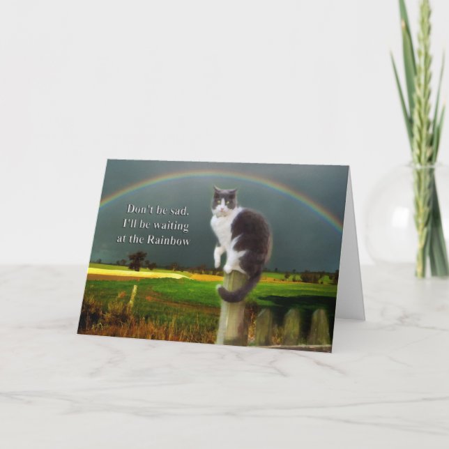 Sympathy - Loss of Pet  Cat Card (Front)