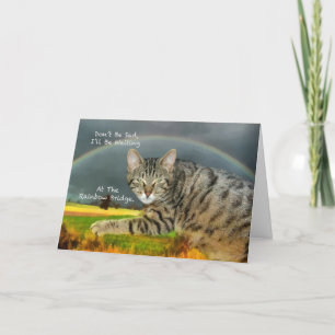 Sympathy - Loss of Pet Tabby Cat Card