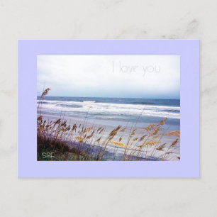 Sympathy Message Postcard