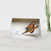Sympathy Monarch Butterfly On a Pencil
