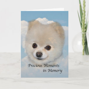 Sympathy on Death of Pet Dog Card