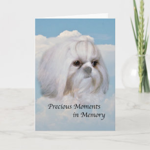 Sympathy on Death of Pet Dog Card