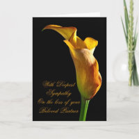Sympathy on loss of beloved partner