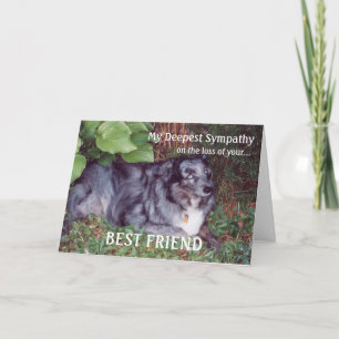 Sympathy on loss of pet-Dog/with poem Card
