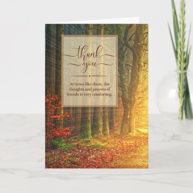 Sympathy Path in a Sunlit Forest Thank You Card (Front)