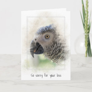 Sympathy Pet Loss of African Gray Parrot Card