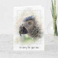 Sympathy Pet Loss of African Grey Parrot