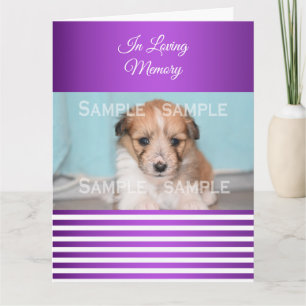 Sympathy pet loss purple white   Photo Card