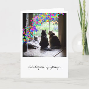Sympathy, pet loss, rainbow bridge card