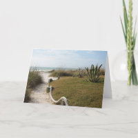 Sympathy - Seaside Pathway