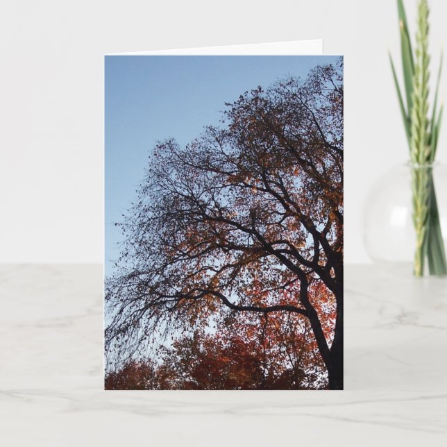 Sympathy Silhouette Trees Card (Front)