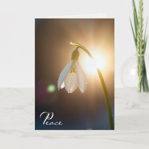 Sympathy Snowdrop with Dewdrops in Sunlight Card