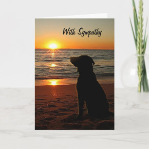 Sympathy - Sunset and Dog on Beach Card